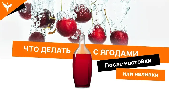 рДЖ 29: Настойка из ягод... после настойки 🍒 Или что делать с ягодами после настойки или наливки