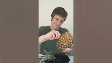 Проверил, как вам?