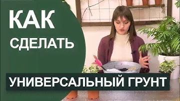 ГРУНТ универсальный для растений