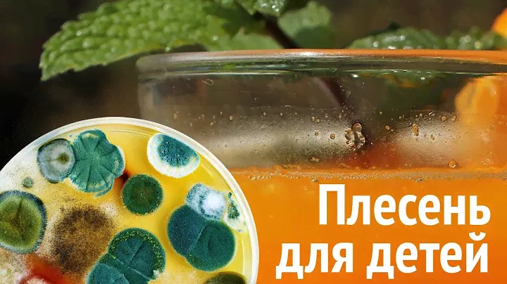 Плесень для детей. Сок "Добрый"