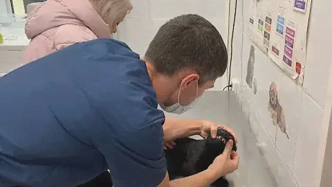 Акция "Добрый доктор Айболит"