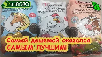 ВСЕ, ЧТО ВАЖНО ЗНАТЬ О ВЫБОРЕ ОРГАНИЧЕСКИХ УДОБРЕНИЙ! Иван Русских рекомендует для рассады!