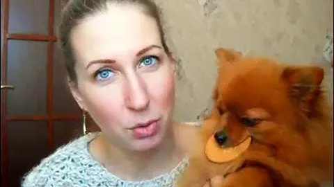 Шпиц бесплатно, или шпиц в добрые руки. Бывает ли такое?